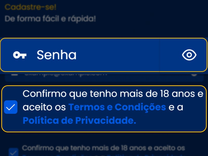 Campo de senha no formulário de cadastro BetDaSorte